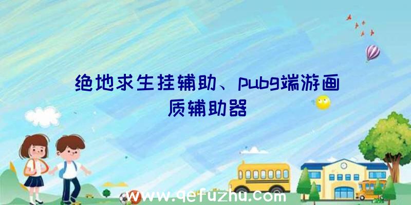 绝地求生挂辅助、pubg端游画质辅助器