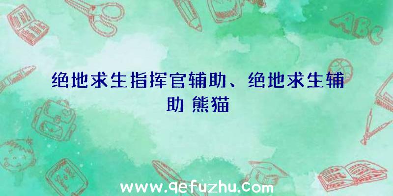 绝地求生指挥官辅助、绝地求生辅助