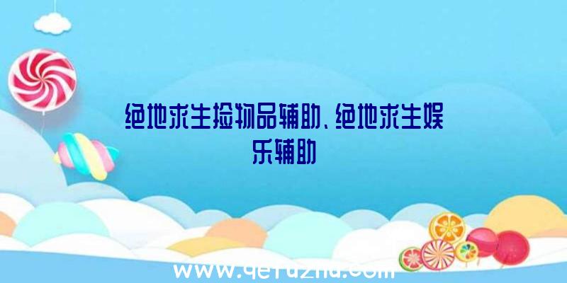 绝地求生捡物品辅助、绝地求生娱乐辅助