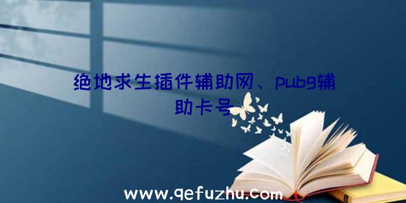 绝地求生插件辅助网、pubg辅助卡号