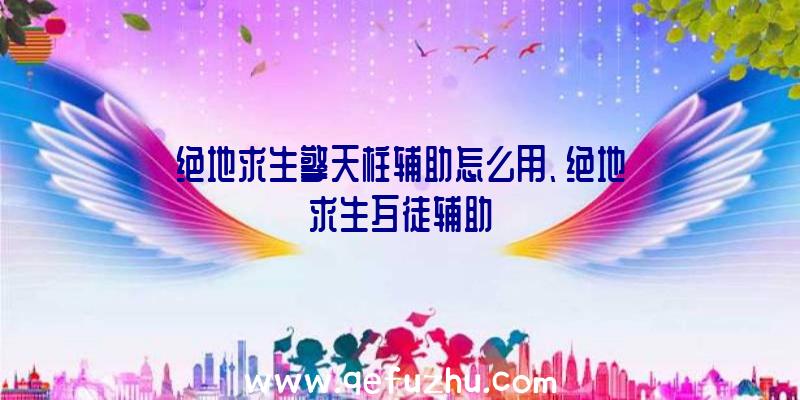 绝地求生擎天柱辅助怎么用、绝地求生歹徒辅助