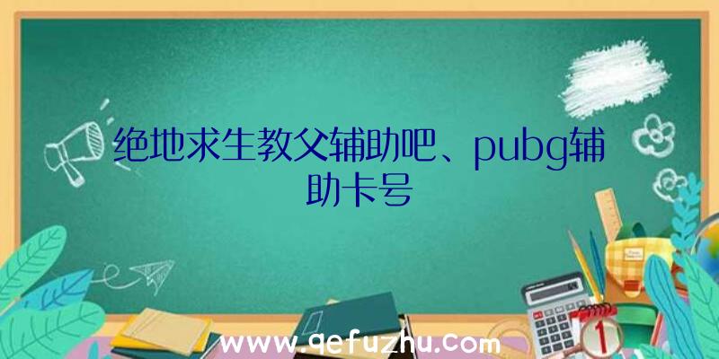 绝地求生教父辅助吧、pubg辅助卡号