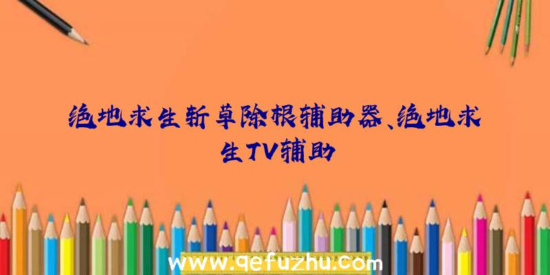 绝地求生斩草除根辅助器、绝地求生TV辅助