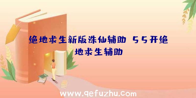 绝地求生新版诛仙辅助、55开绝地求生辅助