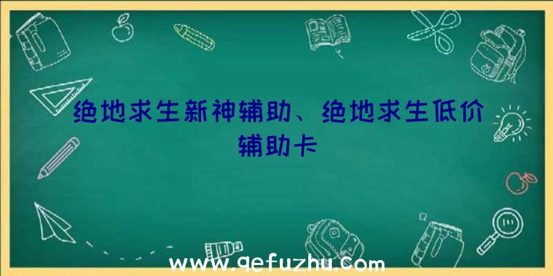 绝地求生新神辅助、绝地求生低价辅助卡