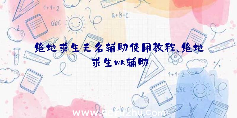 绝地求生无名辅助使用教程、绝地求生wk辅助