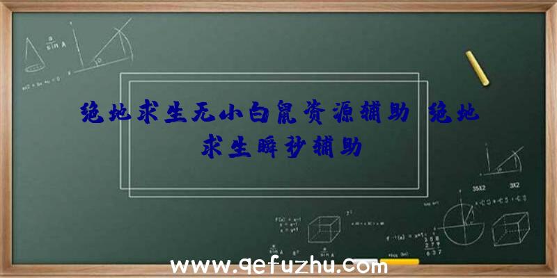 绝地求生无小白鼠资源辅助、绝地求生瞬秒辅助