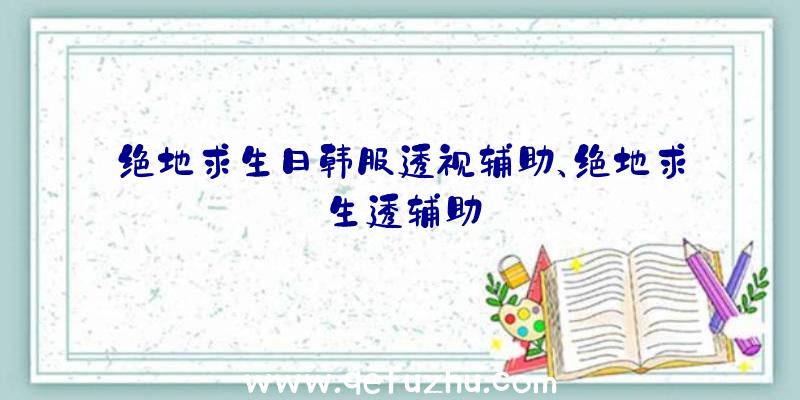 绝地求生日韩服透视辅助、绝地求生透辅助