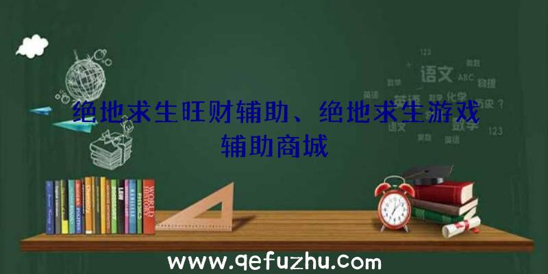 绝地求生旺财辅助、绝地求生游戏辅助商城