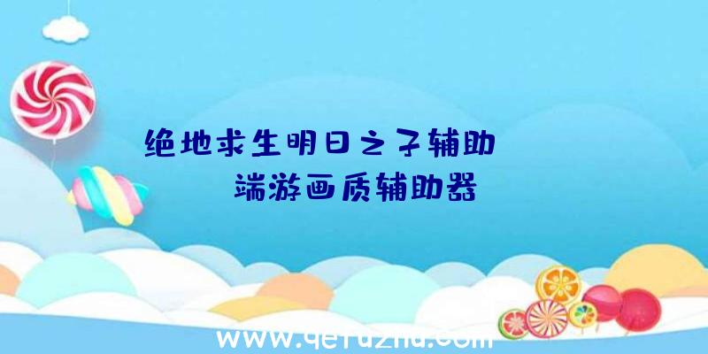 绝地求生明日之子辅助、pubg端游画质辅助器