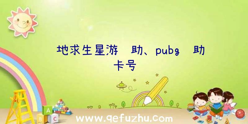 绝地求生星游辅助、pubg辅助卡号