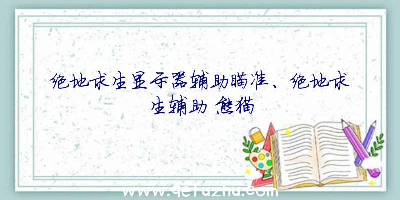 绝地求生显示器辅助瞄准、绝地求生辅助