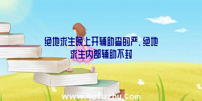 绝地求生晚上开辅助查的严、绝地求生内部辅助不封