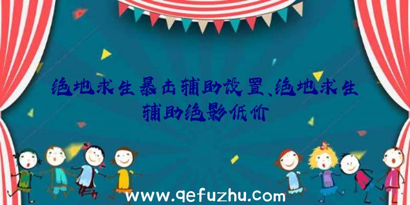 绝地求生暴击辅助设置、绝地求生辅助绝影低价