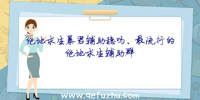 绝地求生暴君辅助稳吗、最流行的绝地求生辅助群