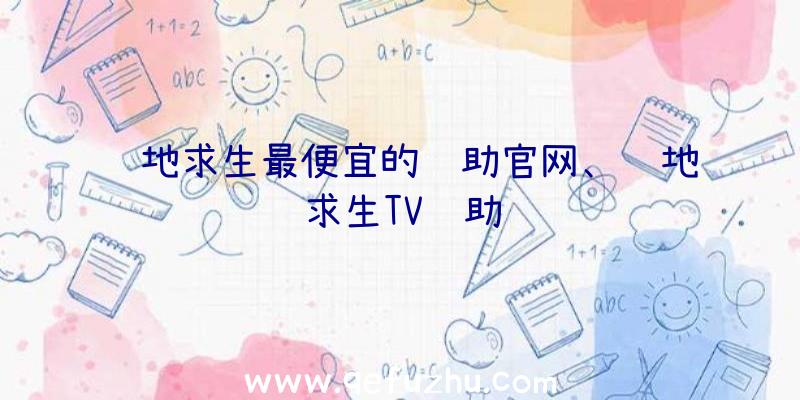 绝地求生最便宜的辅助官网、绝地求生TV辅助