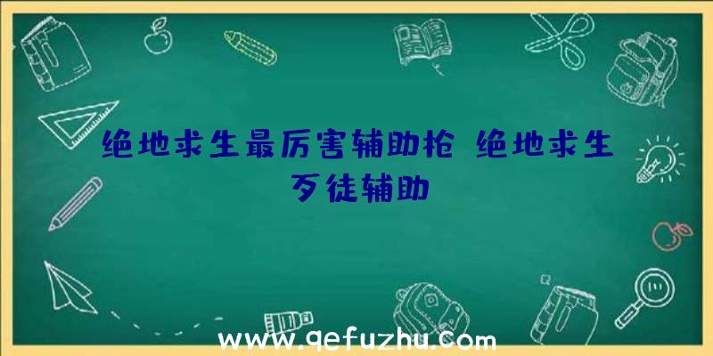 绝地求生最厉害辅助枪、绝地求生歹徒辅助