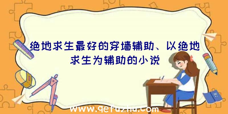 绝地求生最好的穿墙辅助、以绝地求生为辅助的小说