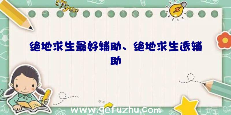 绝地求生最好辅助、绝地求生透辅助