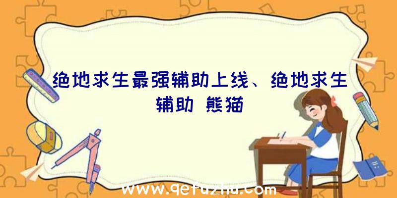 绝地求生最强辅助上线、绝地求生辅助