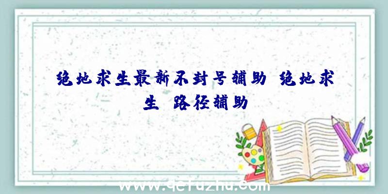 绝地求生最新不封号辅助、绝地求生