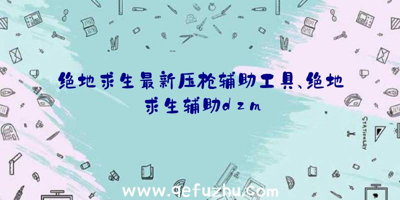 绝地求生最新压枪辅助工具、绝地求生辅助dzm