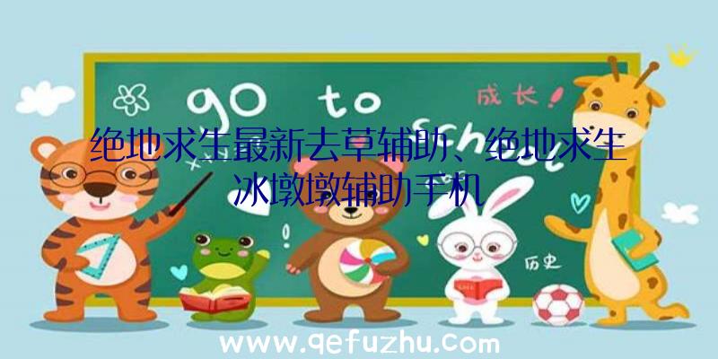 绝地求生最新去草辅助、绝地求生冰墩墩辅助手机