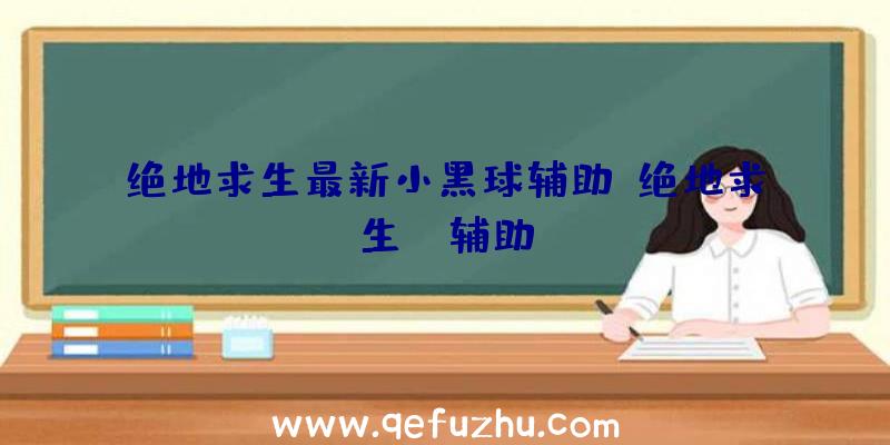 绝地求生最新小黑球辅助、绝地求生da辅助