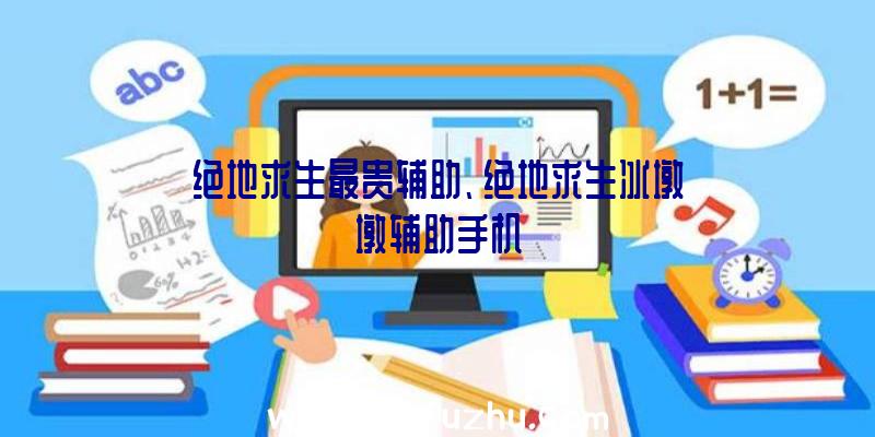 绝地求生最贵辅助、绝地求生冰墩墩辅助手机