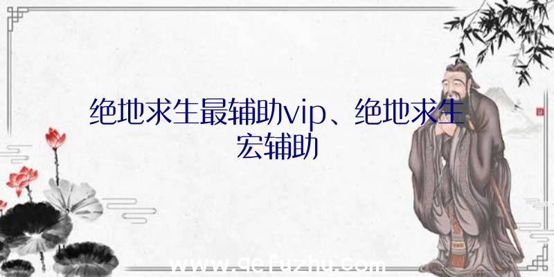 绝地求生最辅助vip、绝地求生宏辅助