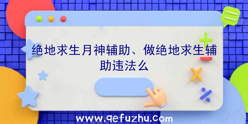 绝地求生月神辅助、做绝地求生辅助违法么