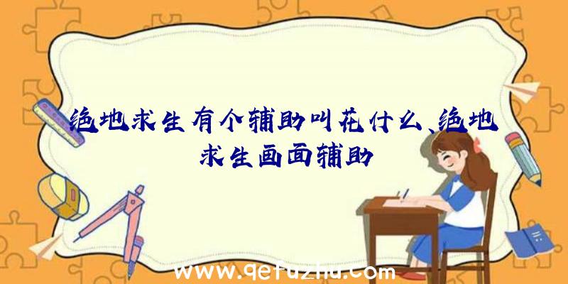 绝地求生有个辅助叫花什么、绝地求生画面辅助