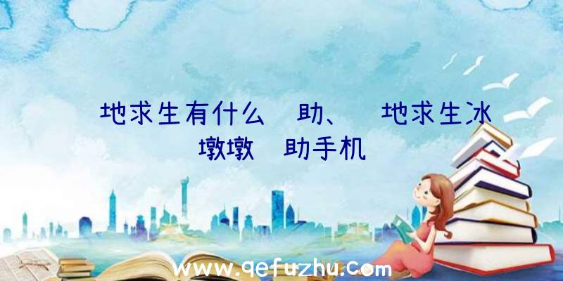 绝地求生有什么辅助、绝地求生冰墩墩辅助手机