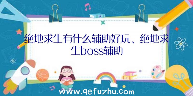 绝地求生有什么辅助好玩、绝地求生boss辅助