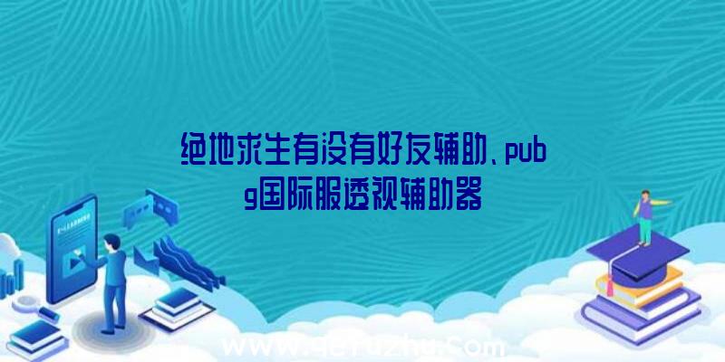 绝地求生有没有好友辅助、pubg国际服透视辅助器