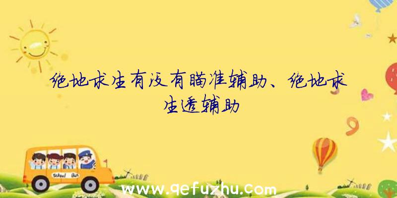 绝地求生有没有瞄准辅助、绝地求生透辅助