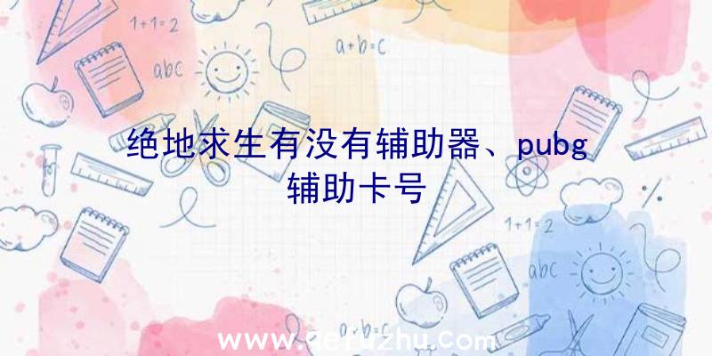 绝地求生有没有辅助器、pubg辅助卡号