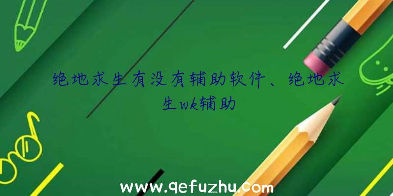 绝地求生有没有辅助软件、绝地求生wk辅助