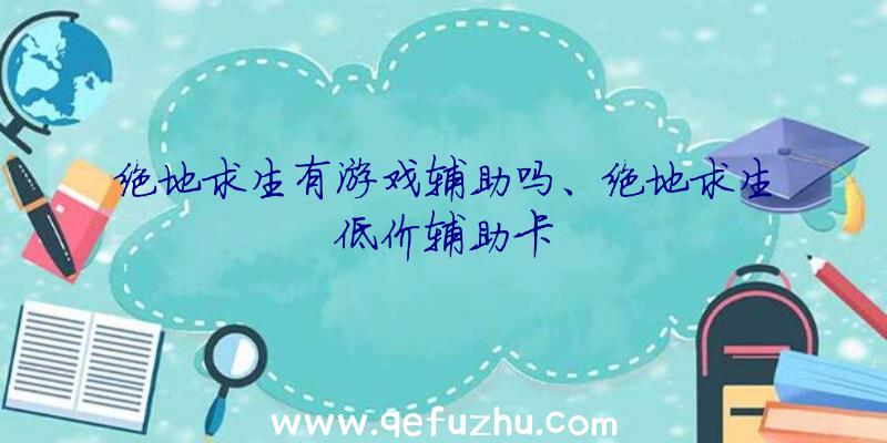 绝地求生有游戏辅助吗、绝地求生低价辅助卡