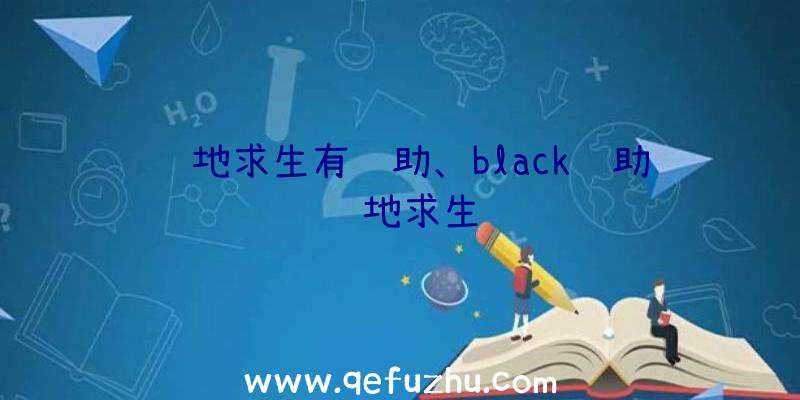 绝地求生有辅助、black辅助绝地求生