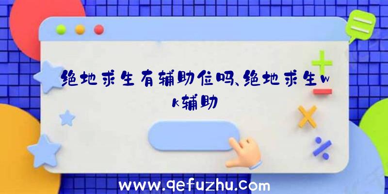 绝地求生有辅助位吗、绝地求生wk辅助