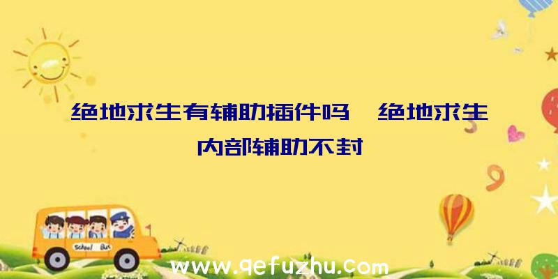 绝地求生有辅助插件吗、绝地求生内部辅助不封