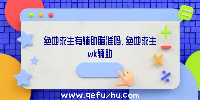 绝地求生有辅助瞄准吗、绝地求生wk辅助