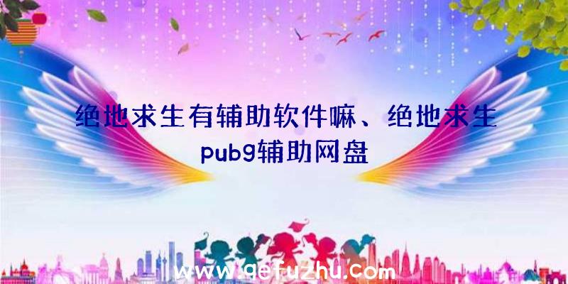 绝地求生有辅助软件嘛、绝地求生pubg辅助网盘