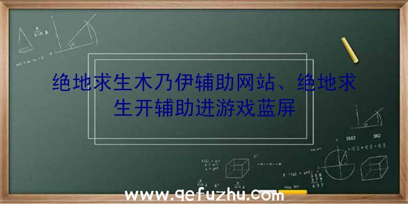 绝地求生木乃伊辅助网站、绝地求生开辅助进游戏蓝屏