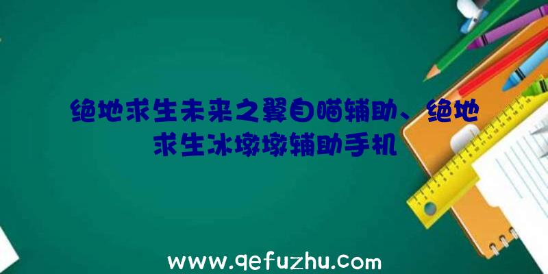 绝地求生未来之翼自瞄辅助、绝地求生冰墩墩辅助手机