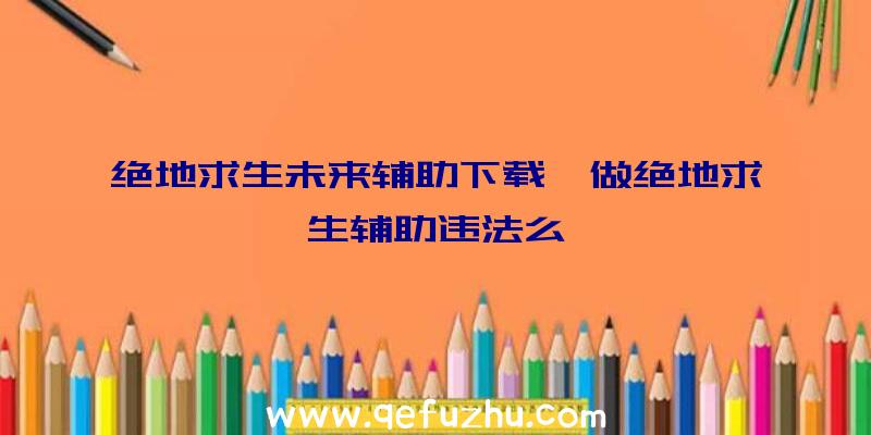 绝地求生未来辅助下载、做绝地求生辅助违法么