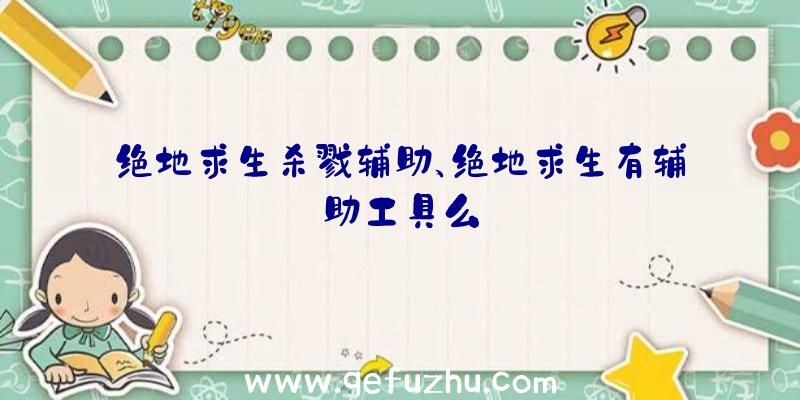 绝地求生杀戮辅助、绝地求生有辅助工具么