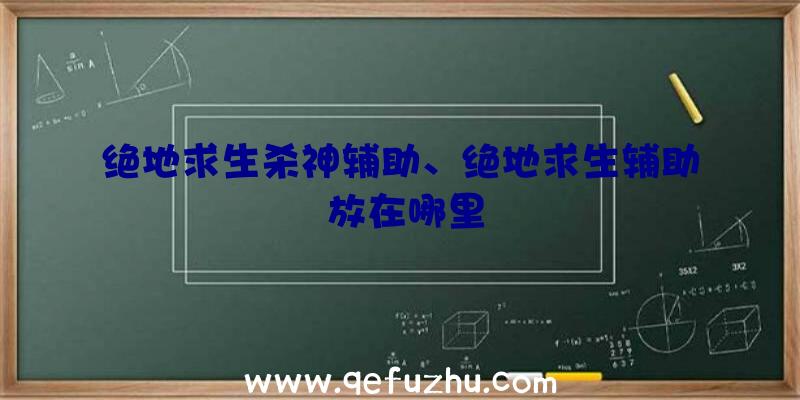 绝地求生杀神辅助、绝地求生辅助