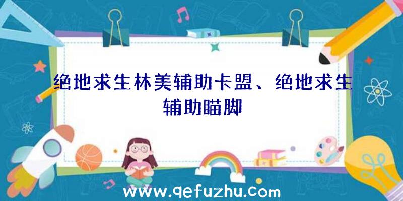 绝地求生林美辅助卡盟、绝地求生辅助瞄脚